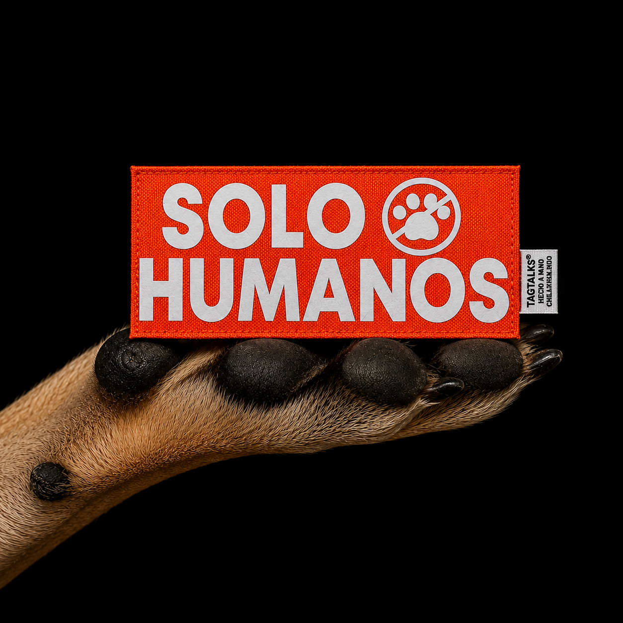 SOLO HUMANOS