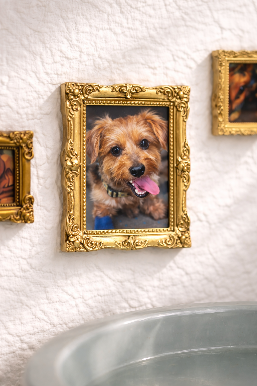 2 Mini Marcos “Galería Perruna” (3x4 cm) – Marcos Decorativos Doglover