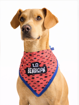 Bandana para perro “La Bendición” – pañuelo para mascotas con mensaje divertido y colorido