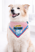 Bandana para perro “Aquí mando yo” – pañuelo para mascotas con frase divertida y diseño original