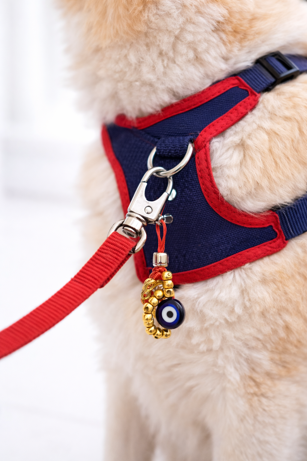 Ojito Turco Perruno – Amuleto de Protección para Mascotas 🧿🐾