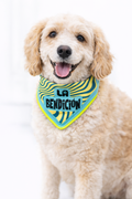 Bandana para perro “La Bendición” – pañuelo para mascotas con mensaje divertido y colorido
